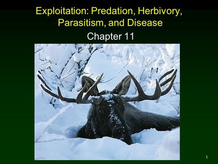 1 Exploitation: Predation, Herbivory, Parasitism, and Disease Chapter 11.