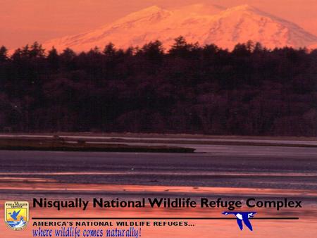 Nisqually National Wildlife Refuge Complex. Nisqually National Wildlife Refuge.