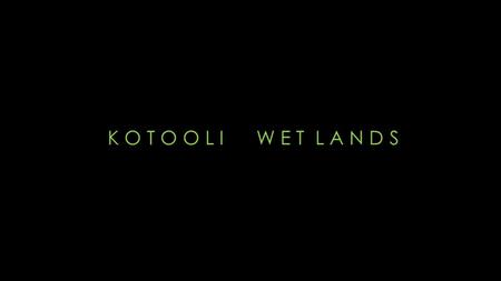 K O T O O L I W E T L A N D S.