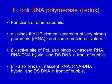 E. coli RNA polymerase (redux) Functions of other subunits: α - binds the UP element upstream of very strong promoters (rRNA), and some protein activators.