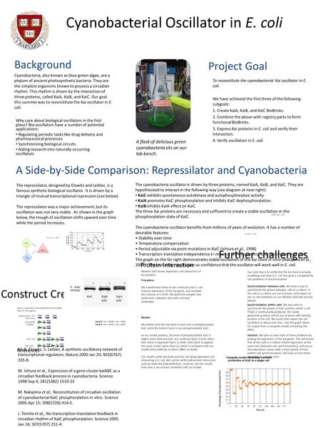 Cyanobacterial Oscillator in E. coli Why care about biological oscillators in the first place? Bio-oscillators have a number of potential applications: