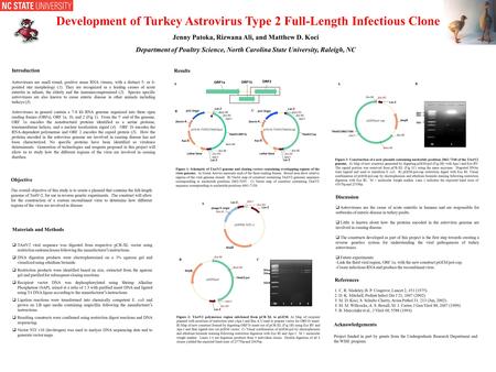 Jenny Patoka, Rizwana Ali, and Matthew D. Koci Department of Poultry Science, North Carolina State University, Raleigh, NC Introduction Astroviruses are.