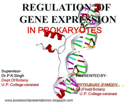 Www.powerpointpresentationon.blogspot.com. INTRODUCTON Although Gregor John Mendel for the first time use the term Factor for hereditary units. This mystery.