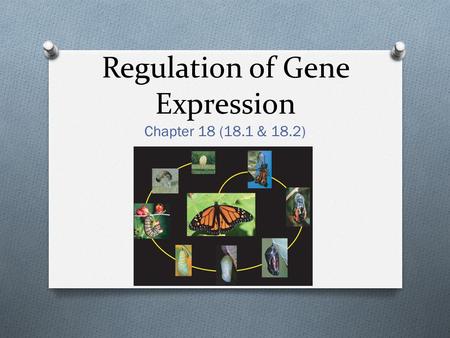 Regulation of Gene Expression