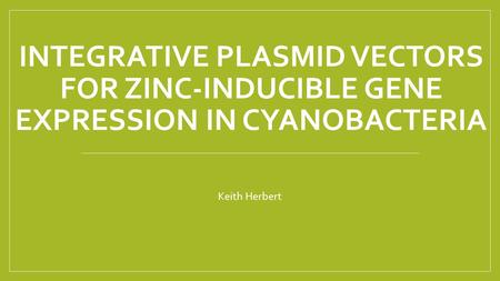 INTEGRATIVE PLASMID VECTORS FOR ZINC-INDUCIBLE GENE EXPRESSION IN CYANOBACTERIA Keith Herbert.