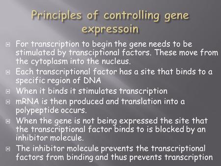  For transcription to begin the gene needs to be stimulated by transciptional factors. These move from the cytoplasm into the nucleus.  Each transcriptional.