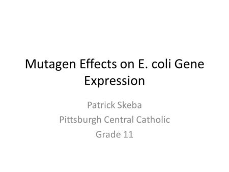 Mutagen Effects on E. coli Gene Expression