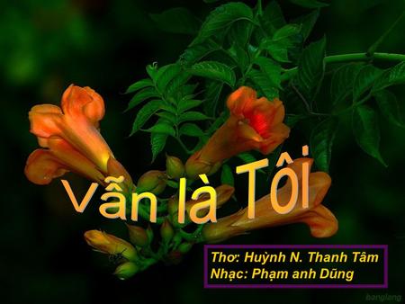 Vẫn là Tôi Thơ: Huỳnh N. Thanh Tâm Nhạc: Phạm anh Dũng.