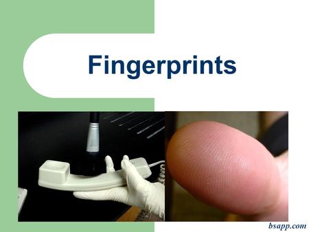 Fingerprints bsapp.com. Principles of Fingerprints First Principle: A fingerprint is an individual characteristic; no two fingers have yet been found.