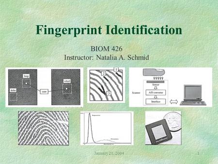 January 21, 20041 Fingerprint Identification BIOM 426 Instructor: Natalia A. Schmid.