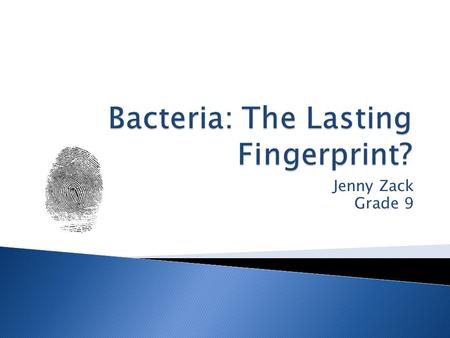 Jenny Zack Grade 9.  The problem addressed in this experiment was whether or not bacteria can be used to identify suspects in a crime scene.