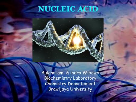 Aulani Biokimia Presentation 9 NUCLEIC ACID Aulanni’am & indra Wibowo Biochemistry Laboratory Chemistry Departement Brawijaya University.