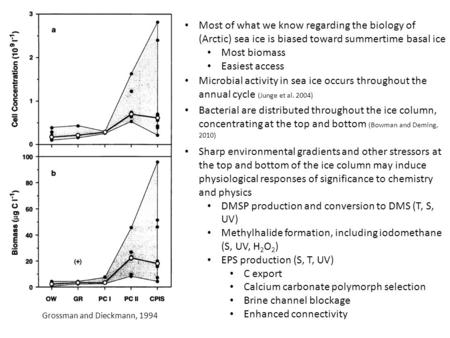 Grossman and Dieckmann, 1994 Most of what we know regarding the biology of (Arctic) sea ice is biased toward summertime basal ice Most biomass Easiest.