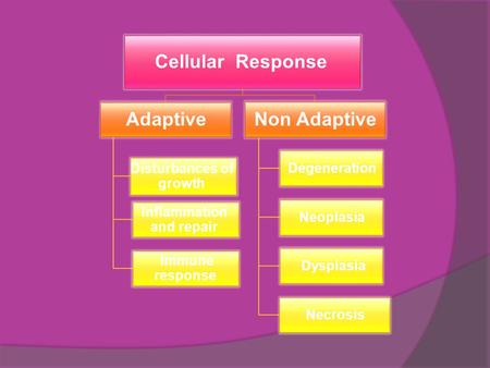 Cellular Response Adaptive Disturbances of growth Inflammation and repair Immune response Non Adaptive Degeneration Neoplasia Dysplasia Necrosis.