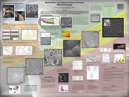 Biomimetics: Learning From Nature for Novel Material Concepts Albert Yu-Min Lin, Po-Yu Chen, Marc A. Meyers Materials Science and Engineering Program University.