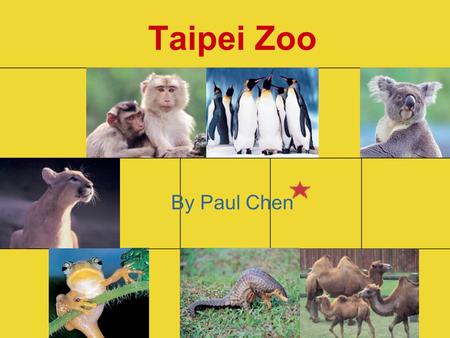 Taipei Zoo By Paul Chen. Outline Starting Questions Sample Conversations –(1) Invitation & Declining(1) Invitation & Declining –(2) Expressing Different.