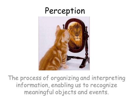 Perception The process of organizing and interpreting information, enabling us to recognize meaningful objects and events.