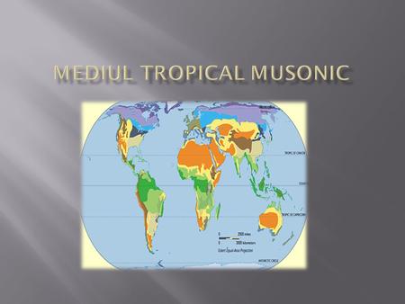 Mediul tropical musonic