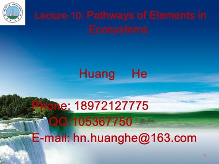 Lecture 10: Pathways of Elements in Ecosystems Huang He Phone: 18972127775 QQ:105367750   PPT 模板下载：  行业 PPT.