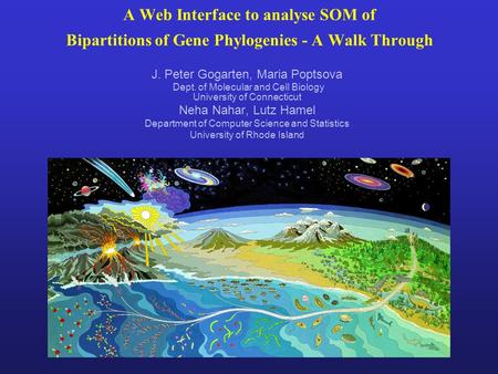 A Web Interface to analyse SOM of Bipartitions of Gene Phylogenies - A Walk Through J. Peter Gogarten, Maria Poptsova Dept. of Molecular and Cell Biology.