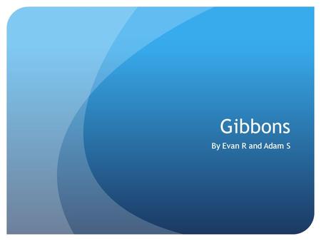 Gibbons By Evan R and Adam S. Body Traits Light to almost black skin color Males- 3ft tall, 15 pounds Females are a little smaller than males Face- hairless.