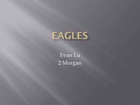 Evan Lu 2 Morgan.  Eagles weigh 4 to 15 pounds  Eagles have curved beaks  Eagles have strong sharp talons  Eagles have brown, black and white feathers.