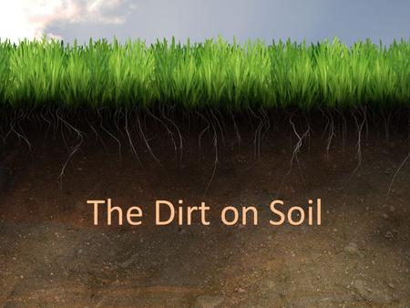 The Dirt on Soil.