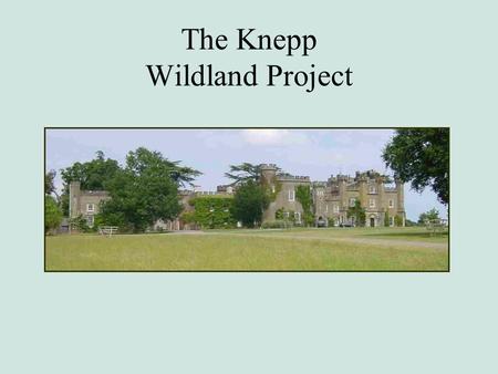 The Knepp Wildland Project. Knepp in 15 min Past - The roller-coaster ride of farming Present - The Zen-like art of letting go Future – Creators of disturbance.