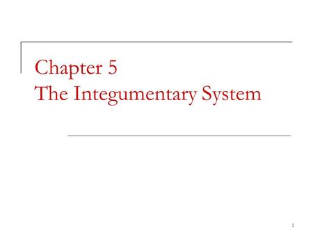 Chapter 5 The Integumentary System