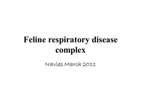 Feline respiratory disease complex Navies March 2011.