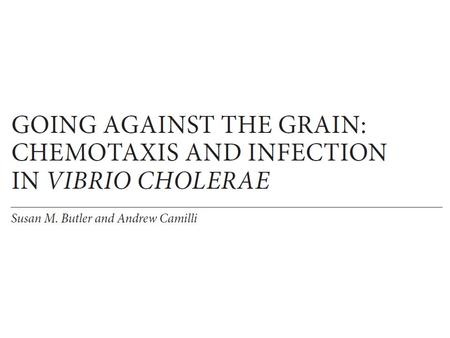 gram-negative cause of severe diarrheal disease around 120,000 death per annum 200 known serogroups  cholera associated only with two serogroups (O1.