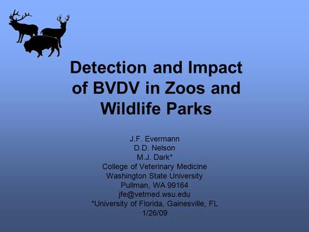 Detection and Impact of BVDV in Zoos and Wildlife Parks J.F. Evermann D.D. Nelson M.J. Dark* College of Veterinary Medicine Washington State University.