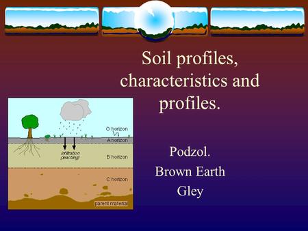 Soil profiles, characteristics and profiles.