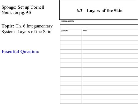 Sponge: Set up Cornell Notes on pg. 50 Topic: Ch