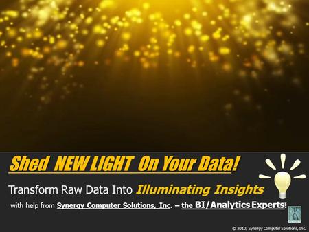 Shed On Your Data! Shed NEW LIGHT On Your Data! Transform Raw Data Into Illuminating Insights with help from Synergy Computer Solutions, Inc. – the BI/Analytics.