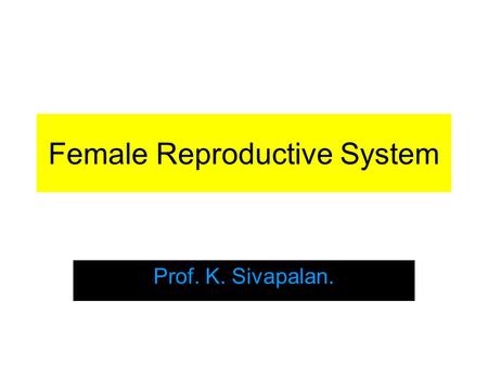 Female Reproductive System