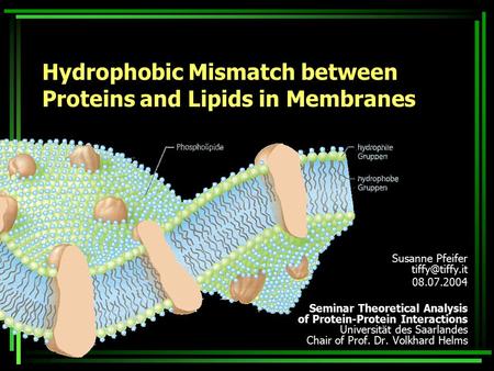 Hydrophobic Mismatch between Proteins and Lipids in Membranes Susanne Pfeifer 08.07.2004 Seminar Theoretical Analysis of Protein-Protein.