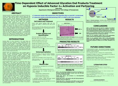 Time-Dependent Effect of Advanced Glycation End Products Treatment on Hypoxia Inducible Factor-1  Activation and Partnering ABSTRACT Advanced glycation.