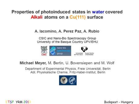 CSIC and Nano-Bio Spectroscopy Group University of the Basque Country UPV/EHU Department of Experimental Physics, Freie Universität, Berlin Abt. Physikalische.