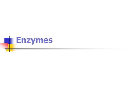 Enzymes.