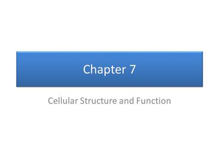 Cellular Structure and Function