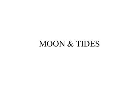 MOON & TIDES. Does the moon’s height in the sky affect how high or low the tides are?