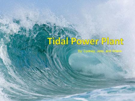 By: Cydney, Jess, and Shane. How they work Tidal power involves a dam across the opening to a tidal basin. A sluice opens that allows the tide to flow.