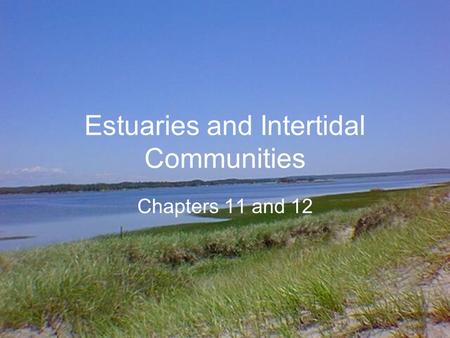 Estuaries and Intertidal Communities