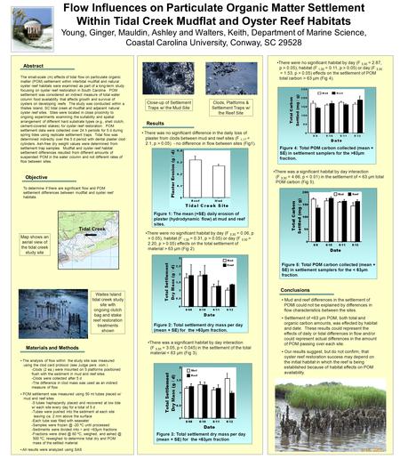 Flow Influences on Particulate Organic Matter Settlement Within Tidal Creek Mudflat and Oyster Reef Habitats Young, Ginger, Mauldin, Ashley and Walters,