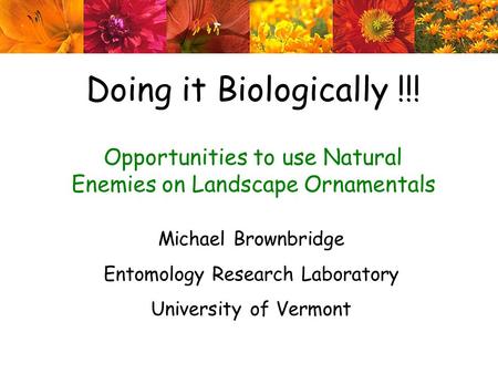 Doing it Biologically !!! Opportunities to use Natural Enemies on Landscape Ornamentals Michael Brownbridge Entomology Research Laboratory University of.