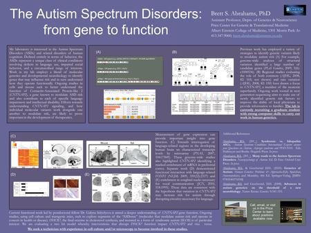 The Autism Spectrum Disorders: from gene to function Brett S. Abrahams, PhD Assistant Professor, Depts. of Genetics & Neuroscience Price Center for Genetic.