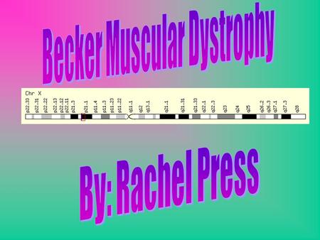 It Affects… Cardiac Muscle Skeletal Muscle Nervous System increase in serum Creatine Kinase which is a marker for muscle damage Schizophrenia or related.