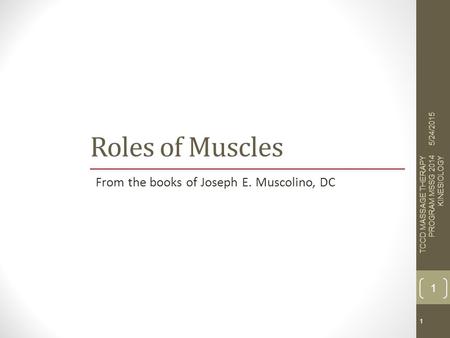 Roles of Muscles From the books of Joseph E. Muscolino, DC 4/16/2017