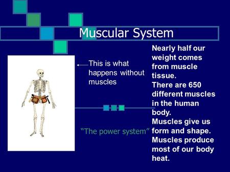 Muscular System “The power system” This is what happens without muscles Nearly half our weight comes from muscle tissue. There are 650 different muscles.